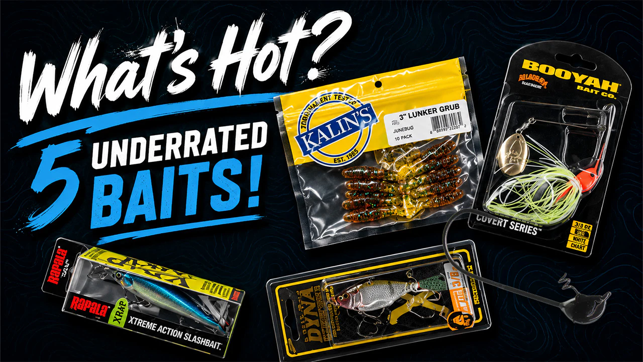 What's Hot? | 5 Underrated Baits!