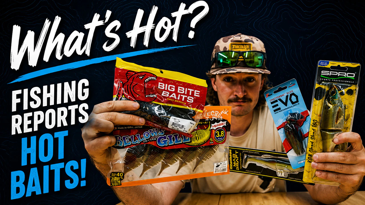 What's Hot? | Top 5 Hot Baits from Reports!