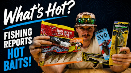 What's Hot? | Top 5 Hot Baits from Reports!
