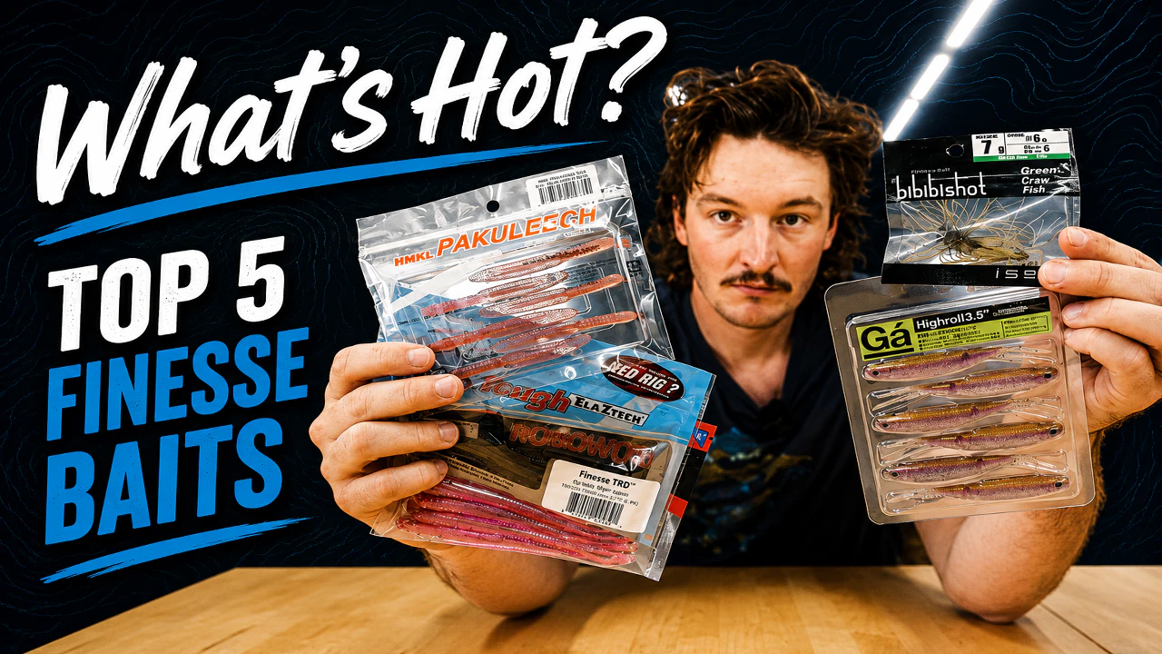 Whats Hot? | Top 5 Finesse Baits!