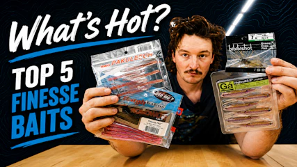 Whats Hot? | Top 5 Finesse Baits!