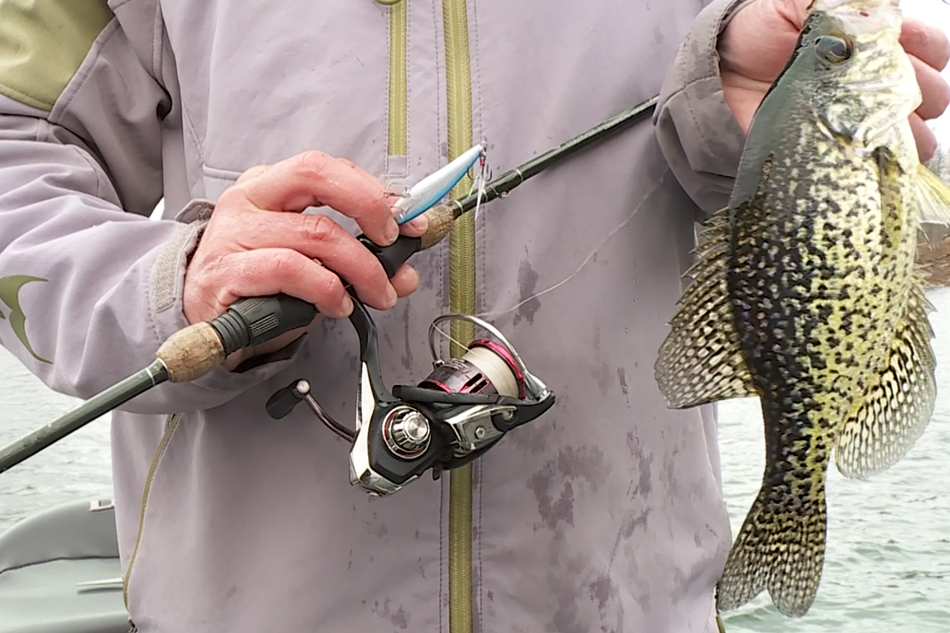 Best Reel for Panfish? The Daiwa Fuego LT