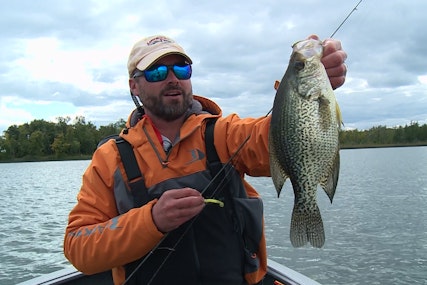 Better Than Live Bait? The Big Bite Crappie Thumper