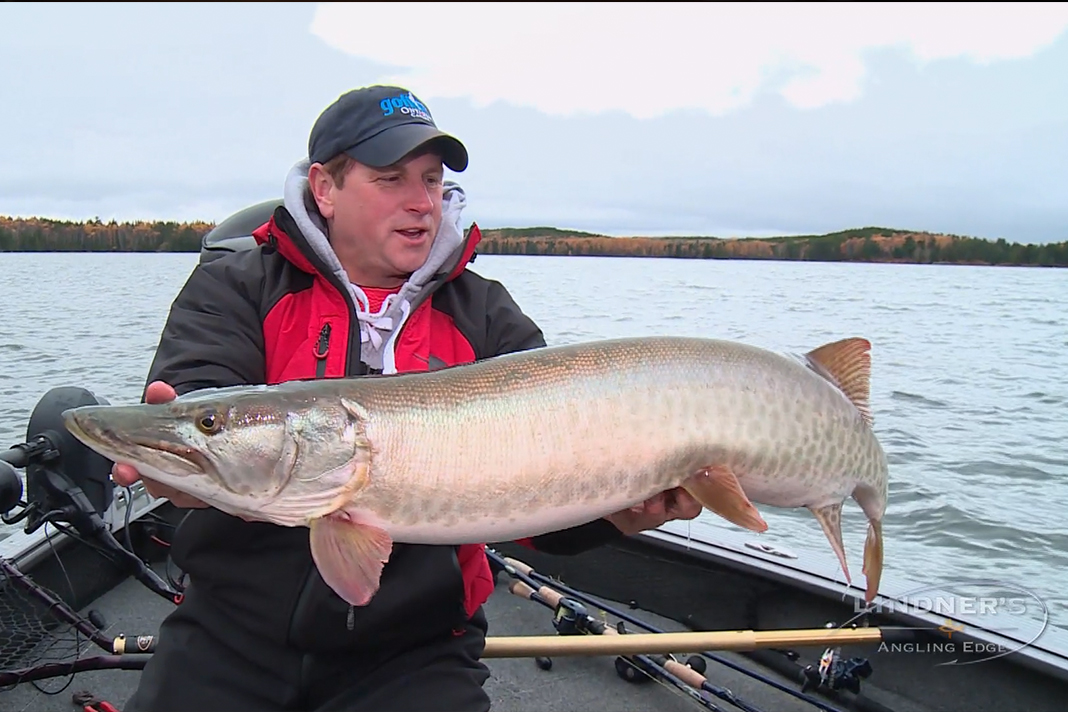 An Irresistible Musky Lure: Rapala Super Shad Rap | Omnia Fishing