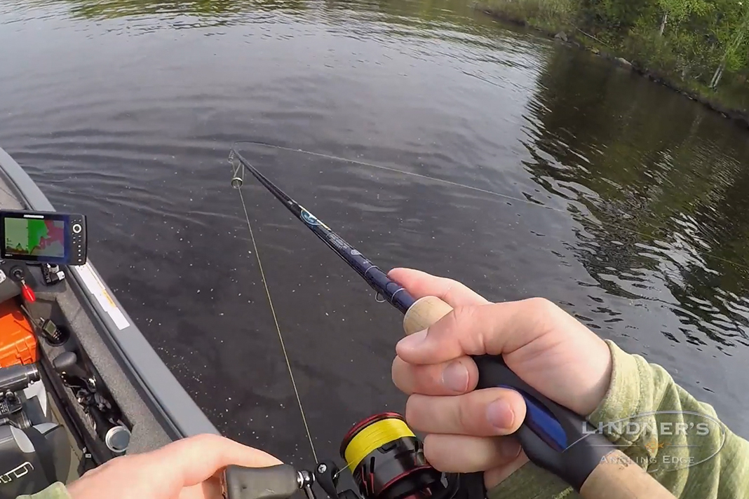 Rapala X-Rap Pop Topwater | Omnia Fishing