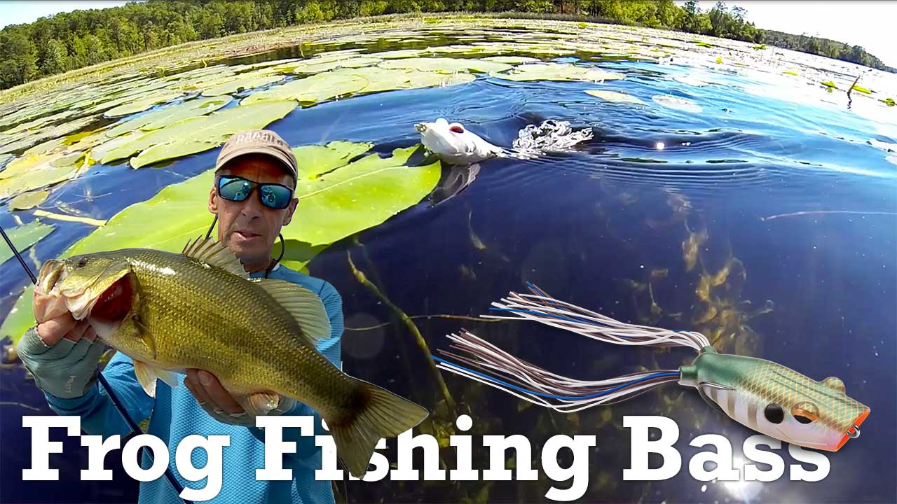 Mastering Frog Fishing: Techniques and Insights for Bass Anglers