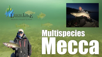 Leech Lake Multispecies Mecca (Lindner's Angling Edge Episode 11)