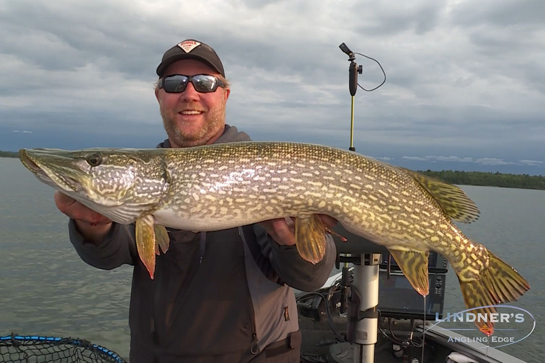 Mojo for Muskies and Pike with St. Croix Rods