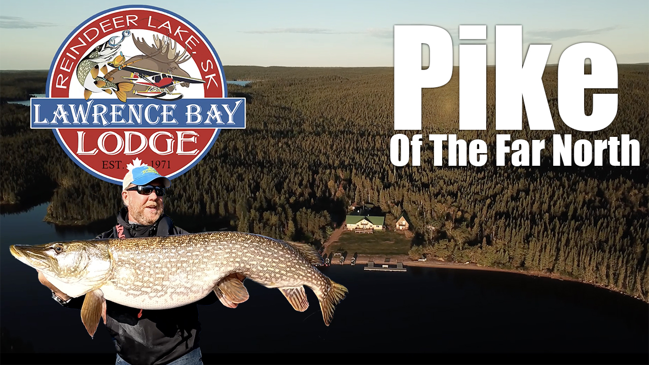 ​Pike of The Far North
