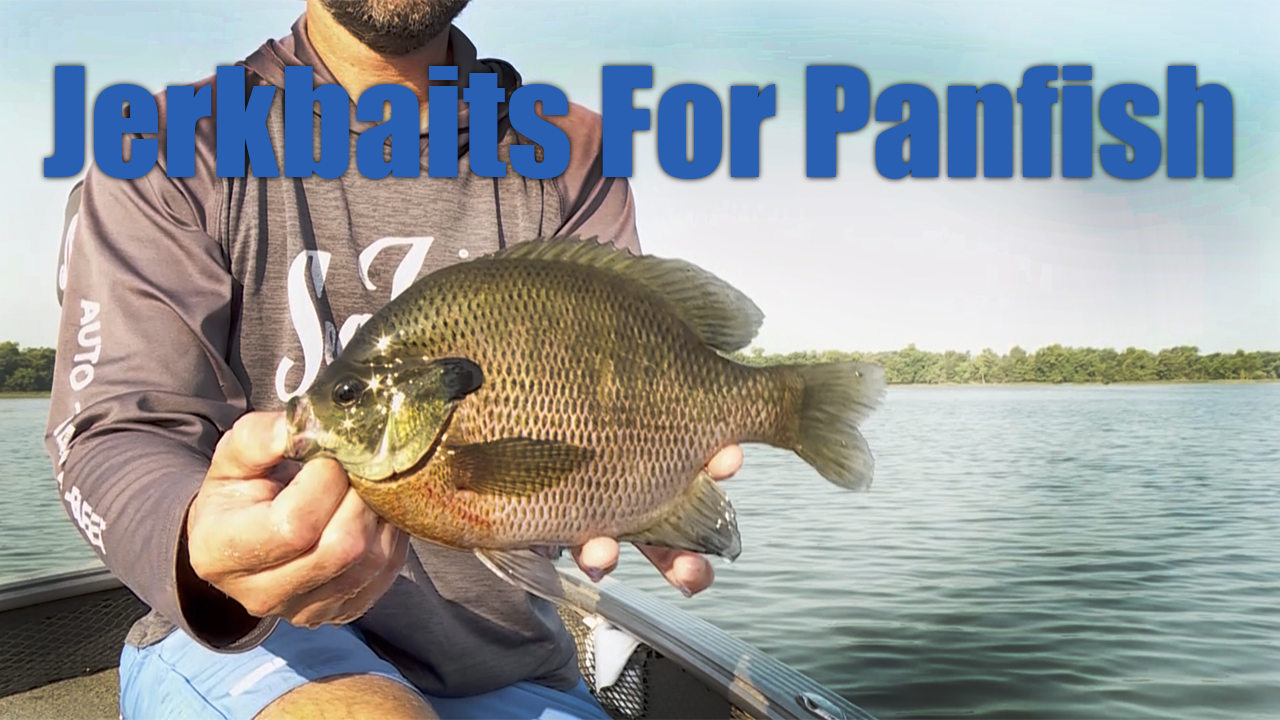 Mastering Panfish Fishing with Jerkbaits: A Comprehensive Guide