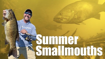 Finesse Factors For Summer Smallmouths