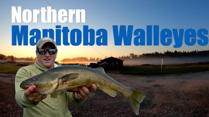 Northern Manitoba Walleyes