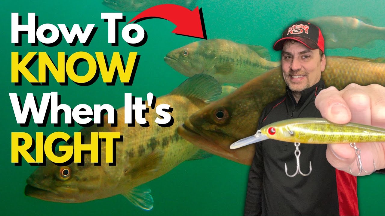 Fastest Way to Catch Numbers of Bass: 6 Key Factors