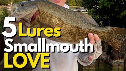 5 Best Smallmouth Bass Lures Based on Their Behavior