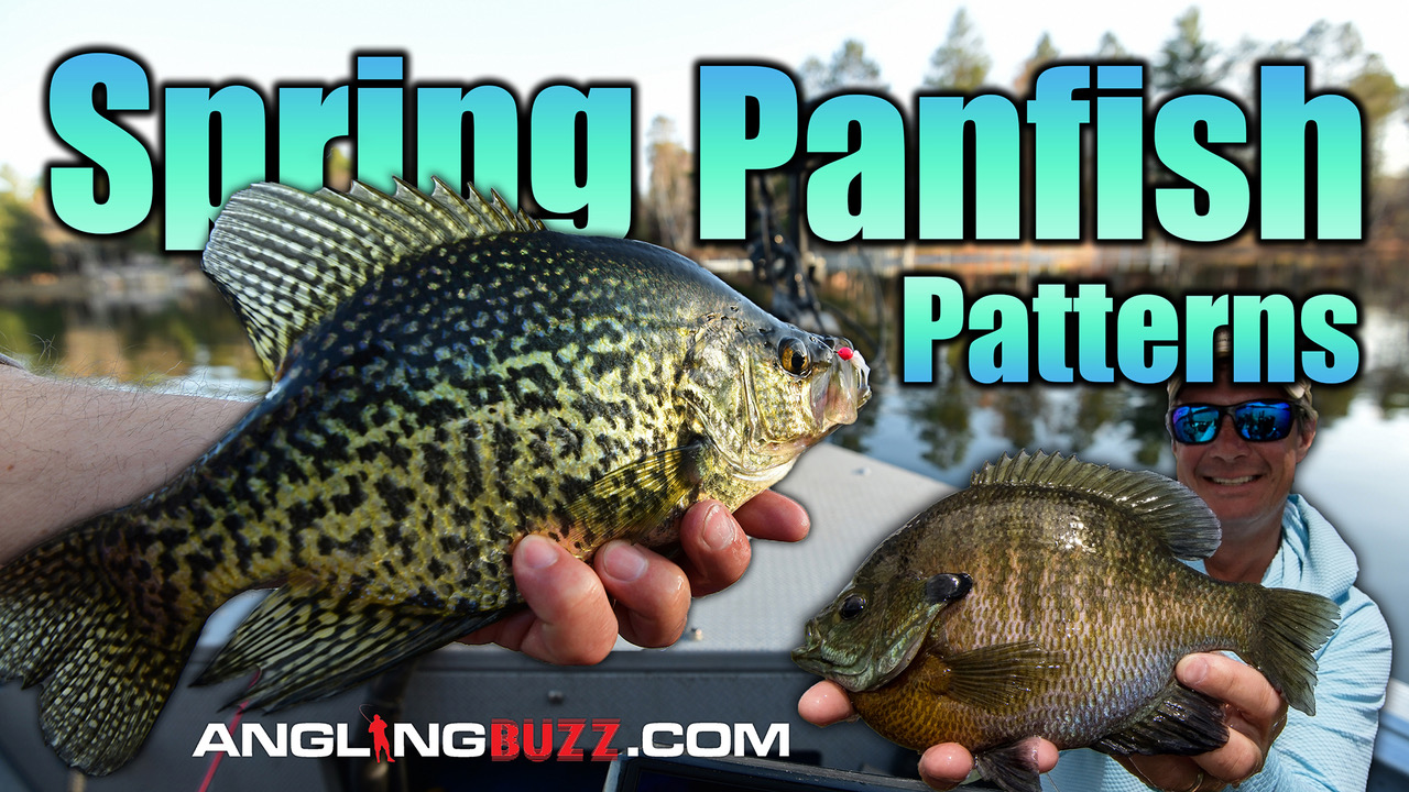 Angling Buzz: Spring Panfish Patterns