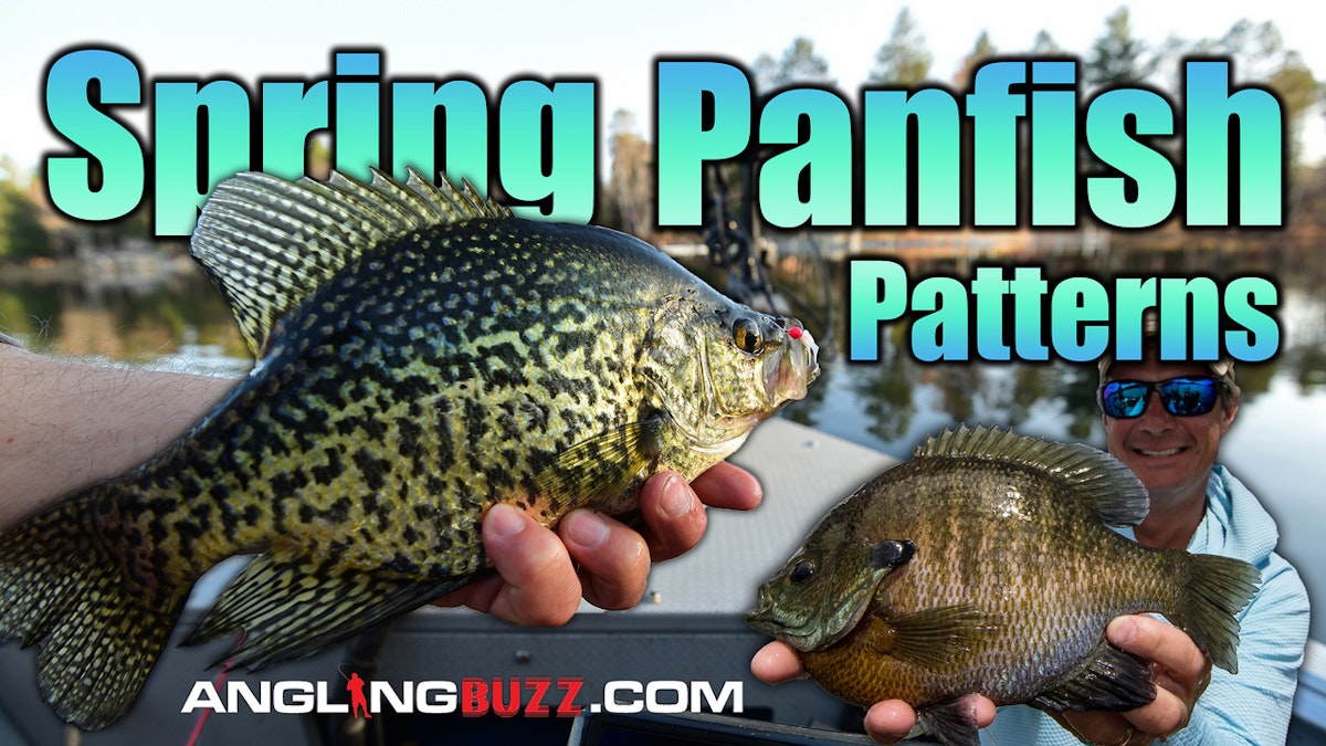 Panfish - Perch, Crappie, Bluegill, Rigs, Bait & Tricks Page - In