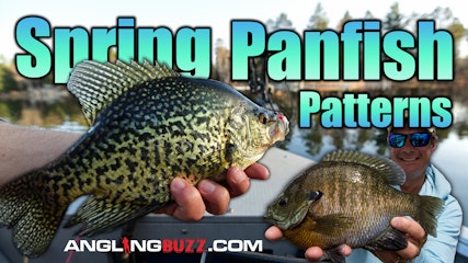 Angling Buzz: Spring Panfish Patterns