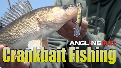 Crankbait Fishing - Lindners Angling Buzz Episode 11