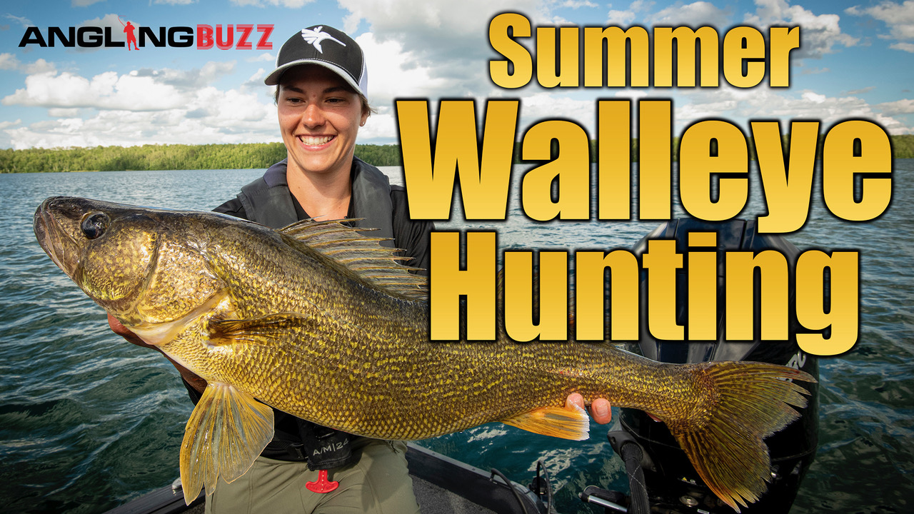 AnglingBuzz Show 12: Hunting Down Summer Walleye