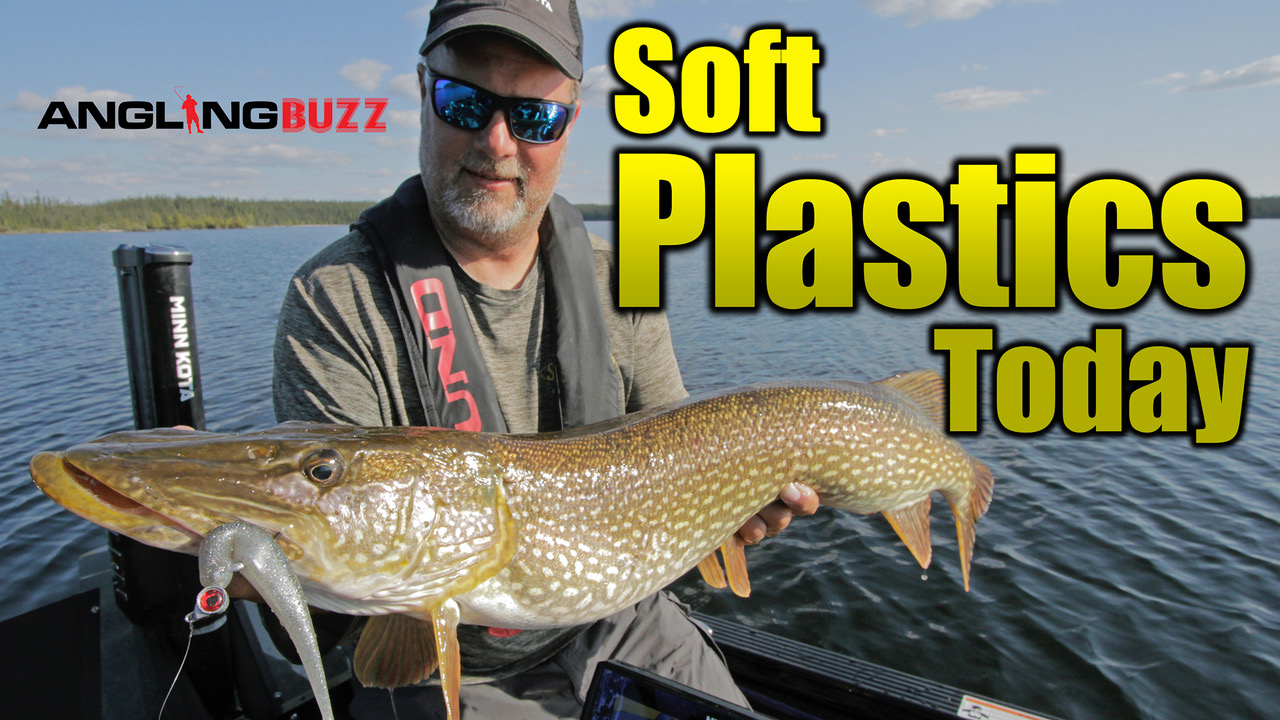 Lindner's Angling Buzz Episode 13: Soft Plastics Today