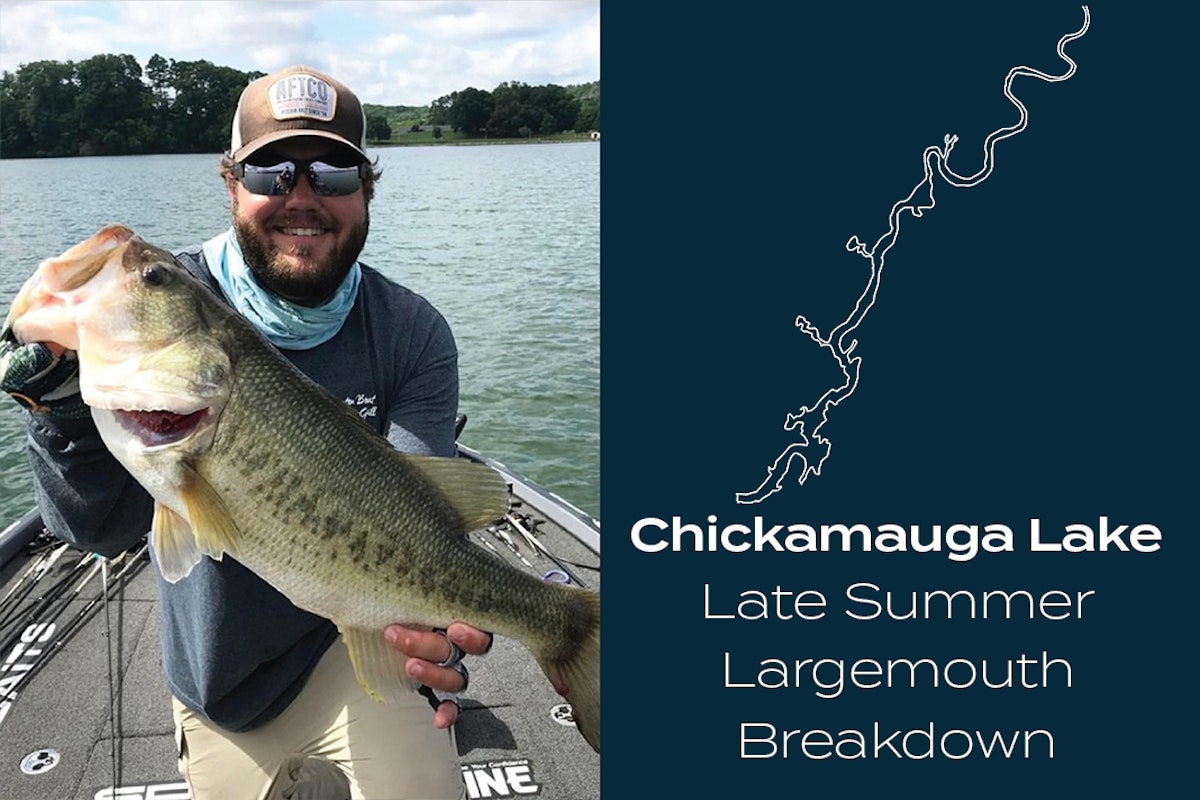 Chickamauga Reservoir Fishing in Tennessee