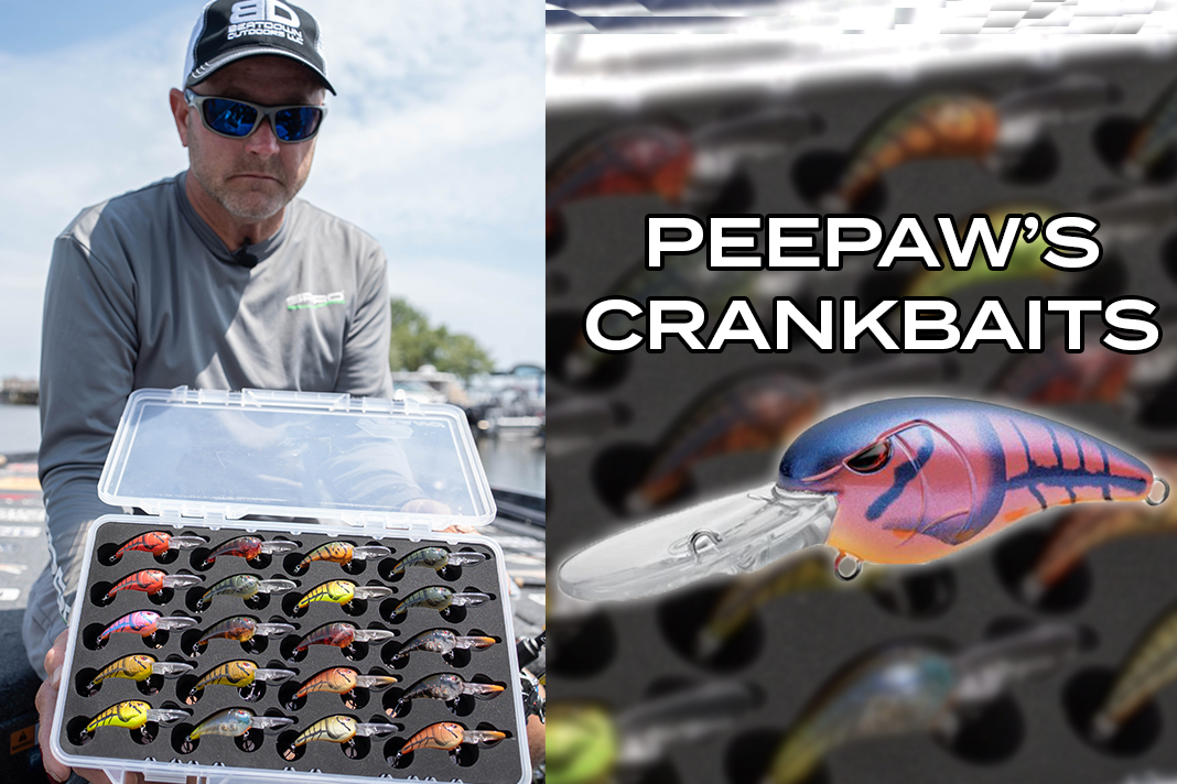 SPRO RkCrawler Families Overview Mike McClelland