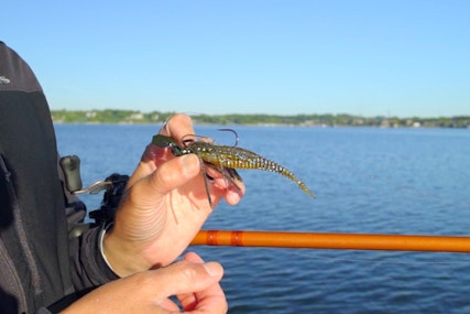 Fall Fishing the Freeloader w/ Bob Downey