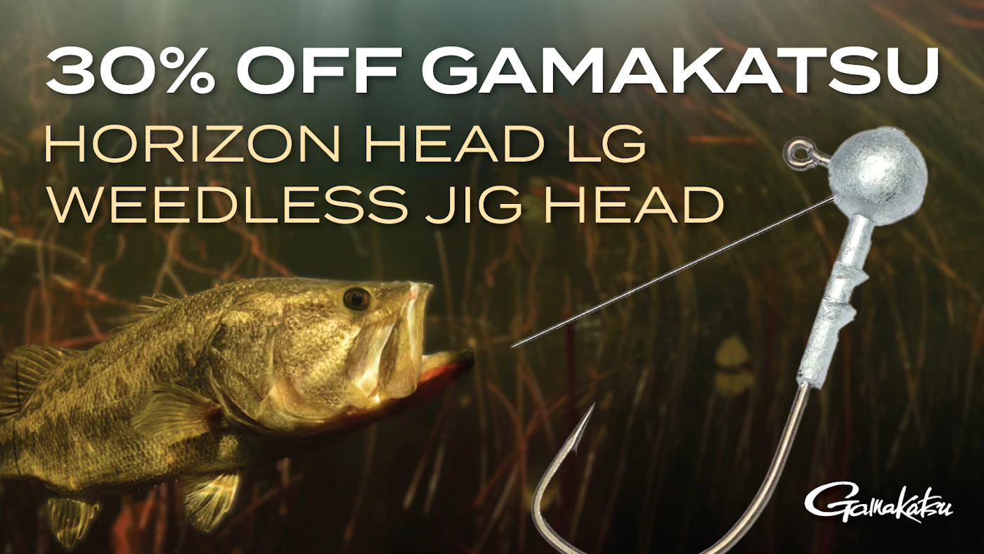 <p id="470211-532">Gamakatsu Horizon Head LG Weedless Jig Head</p>
