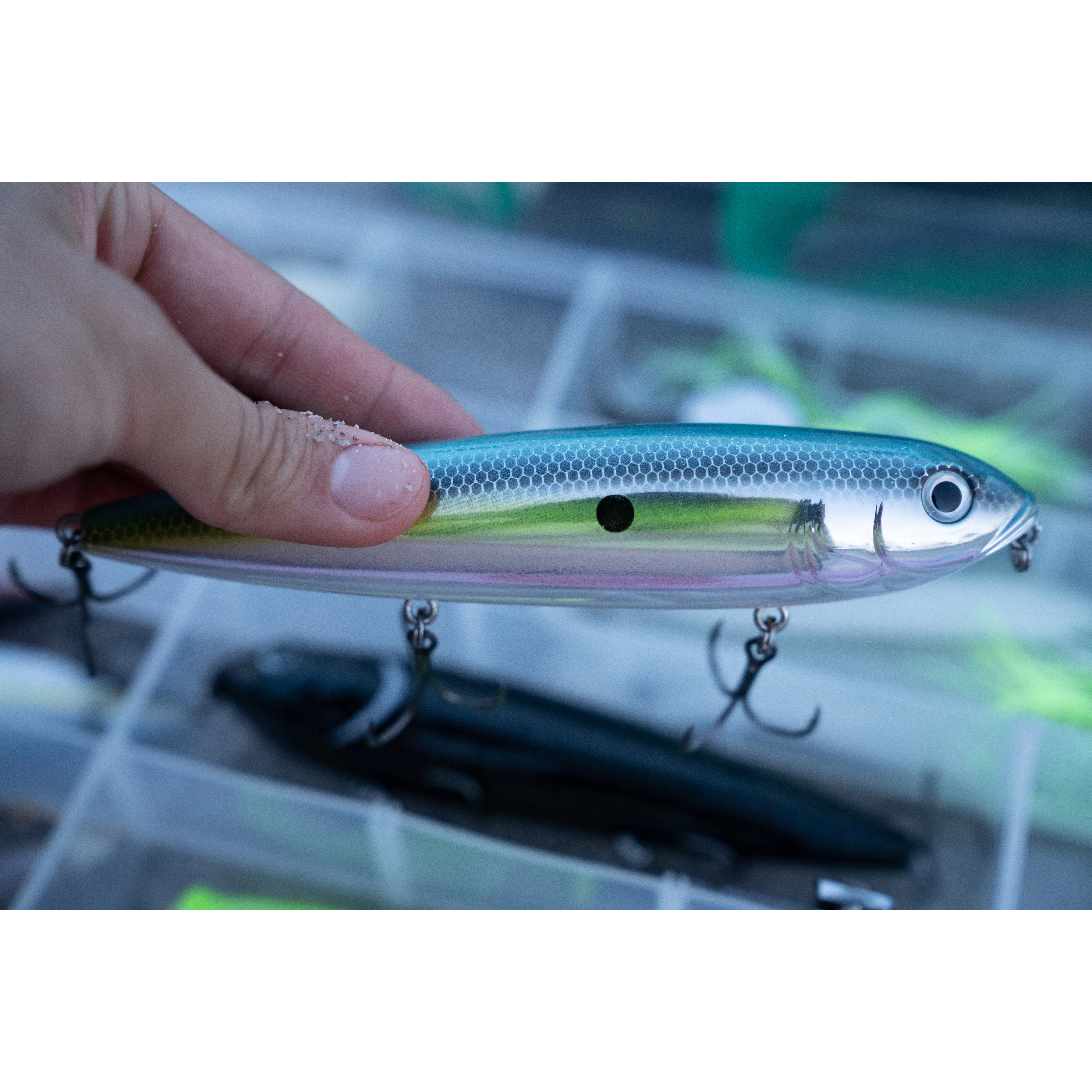 Strike King KVD Sexy Dawg Topwater | Omnia Fishing
