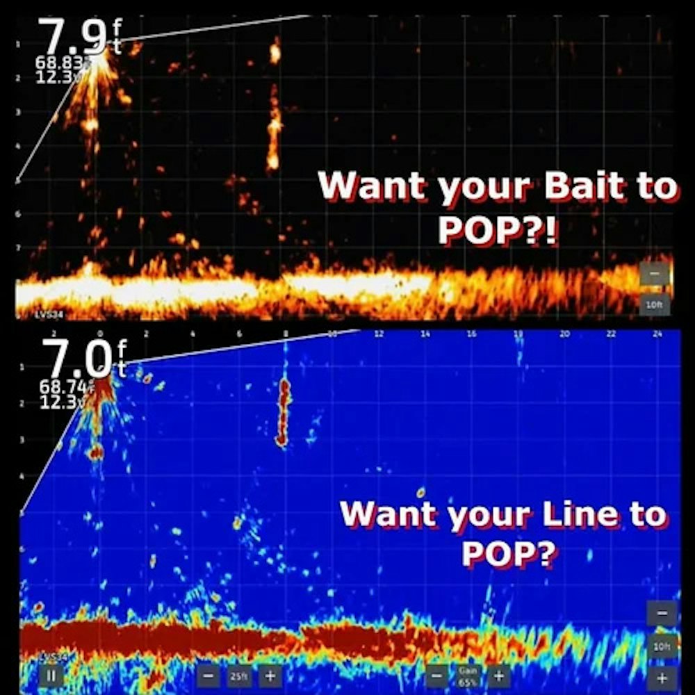 Bait Pop Live Sonar Intensifier Blue