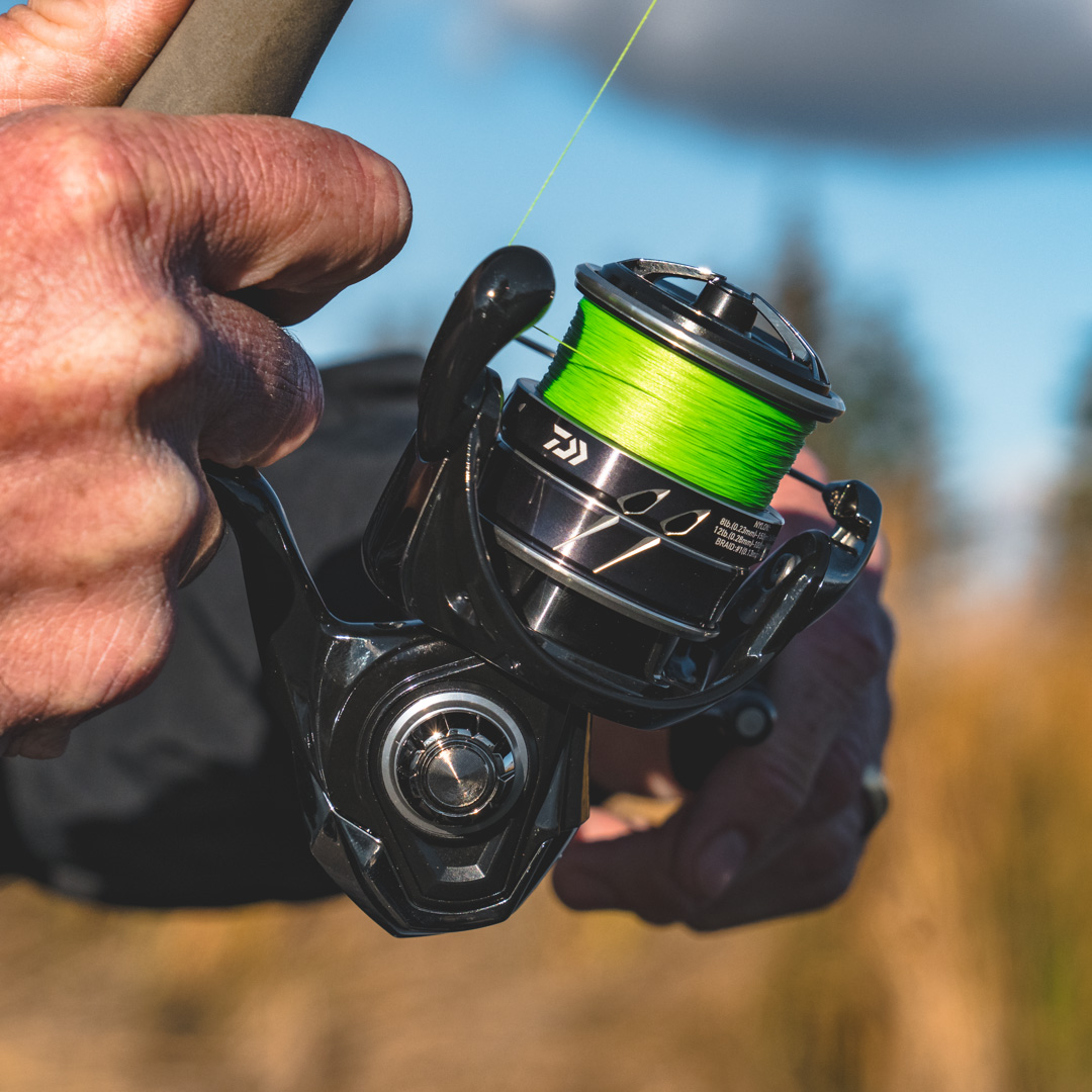 TALT4000-CXH, Black) - Daiwa Tatula LT 6.2:1 Left/Right Hand