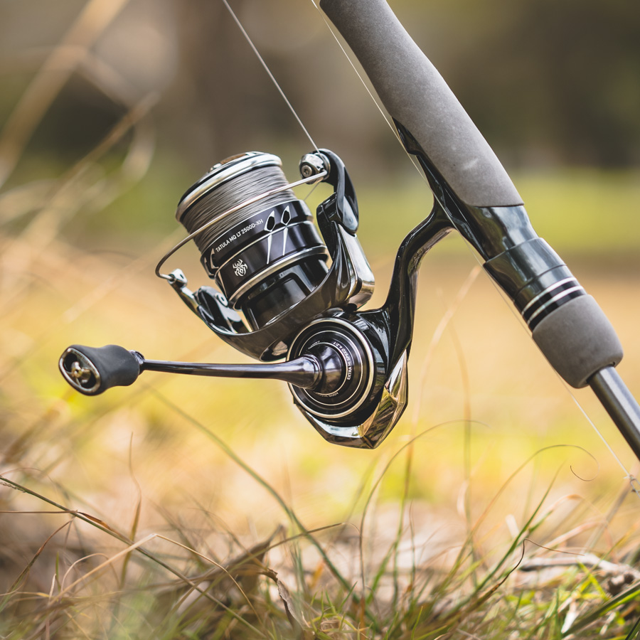 Daiwa Tatula MQ LT Spinning Reel | Omnia Fishing