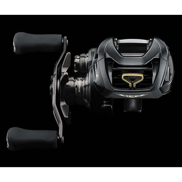 Daiwa Steez A 100 Casting Reel | Omnia Fishing