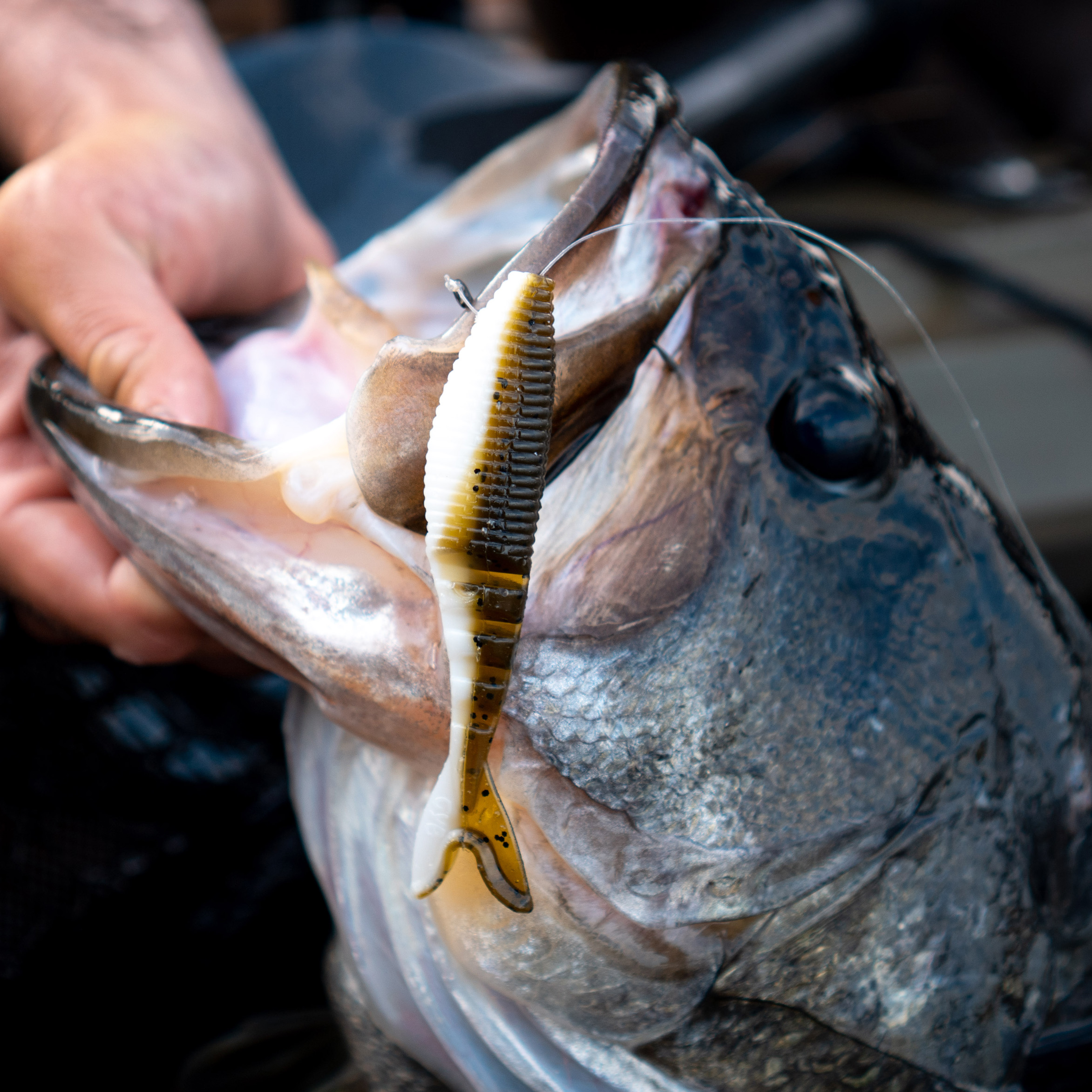 yamamoto ORIGINAL Yamamoto 4