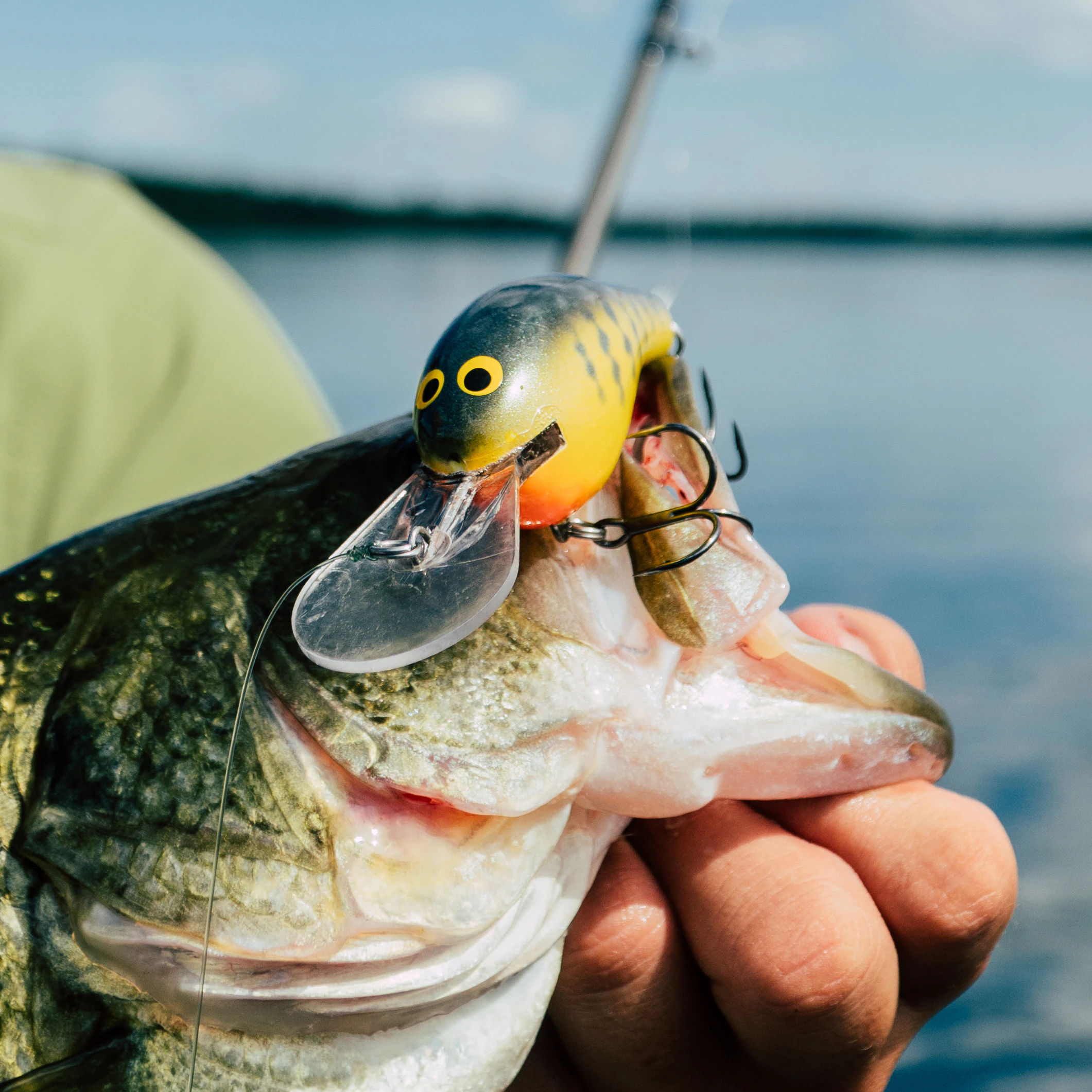 bagley world bass lure Bagley Bang O Lure #5 5.25