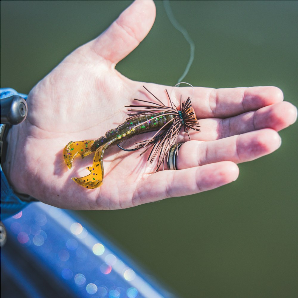 Yamamoto Baits - The 3 Yama Craw paired with a Buckeye Lures Spot