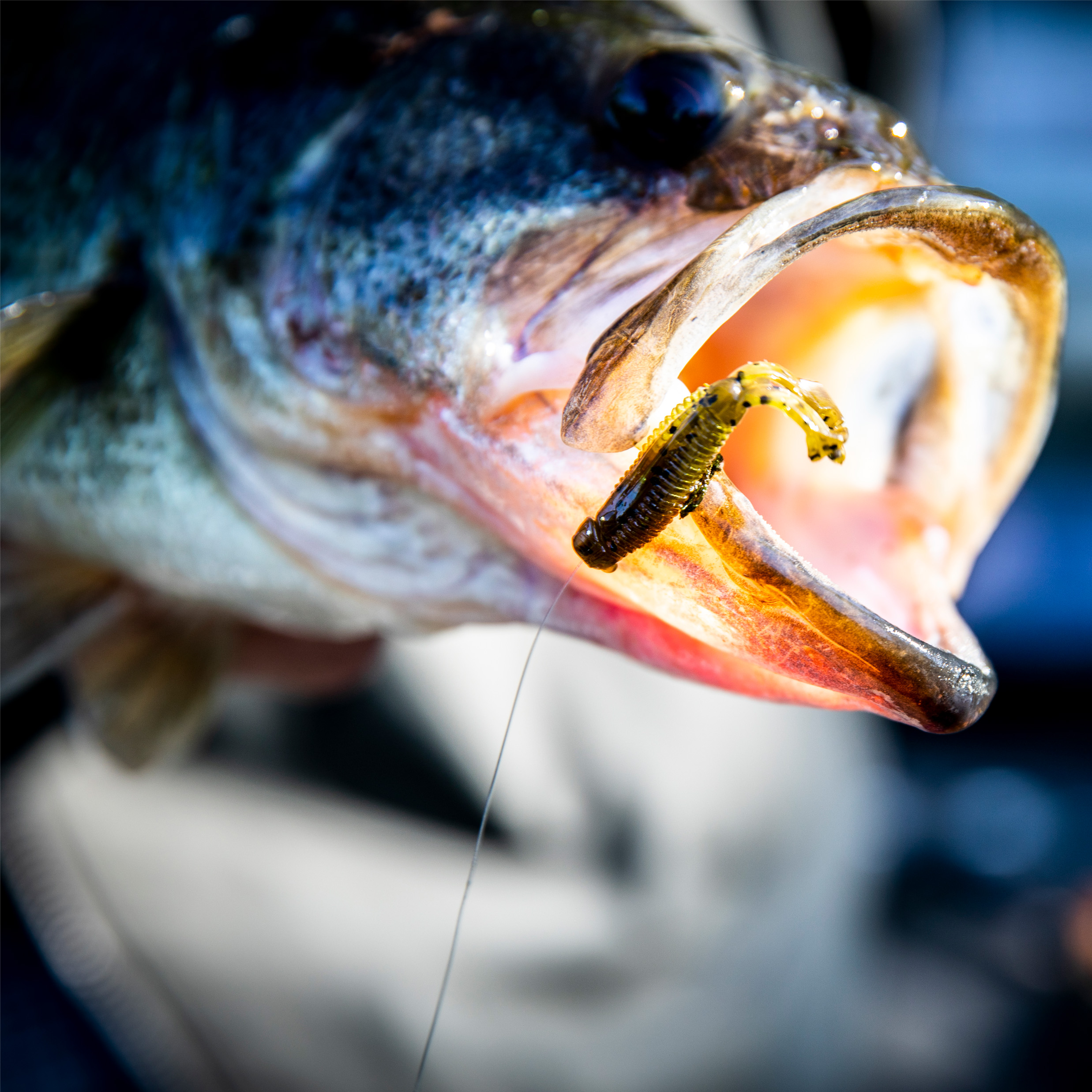 Z-Man Micro Finesse Micro Goat | Omnia Fishing