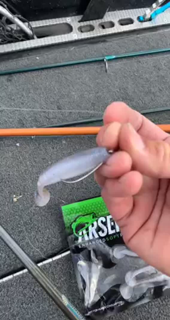 Lake Minnewaska Fishing Report for Largemouth Bass(Jun 14, 2021