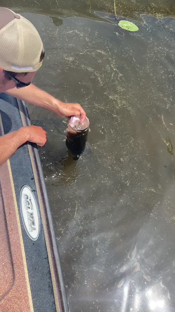 Moodus Reservoir Fishing Report for Largemouth Bass(Aug 18, 2022